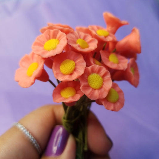 Floresitas Pinkish(12)