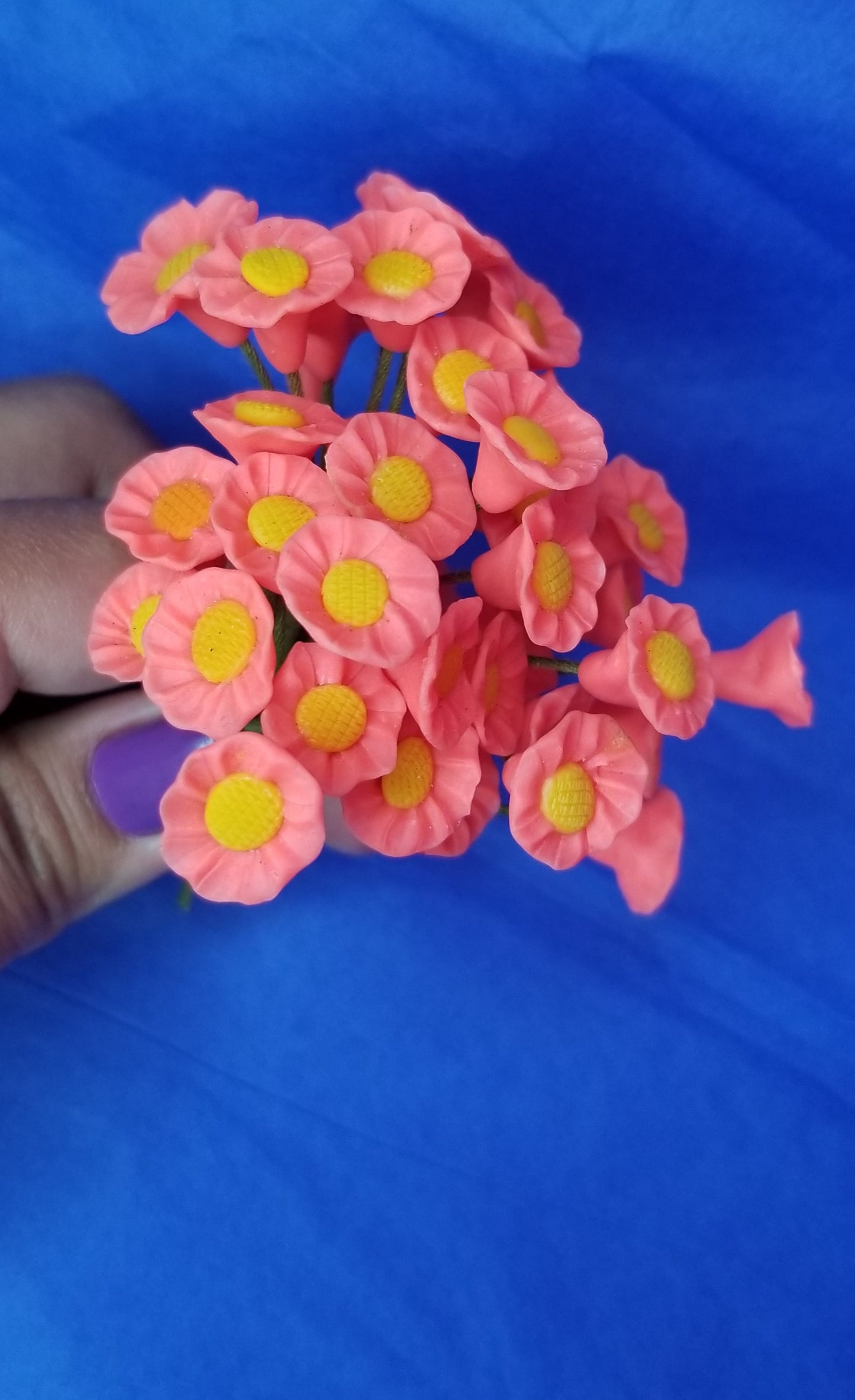 Floresitas Pinkish(12)