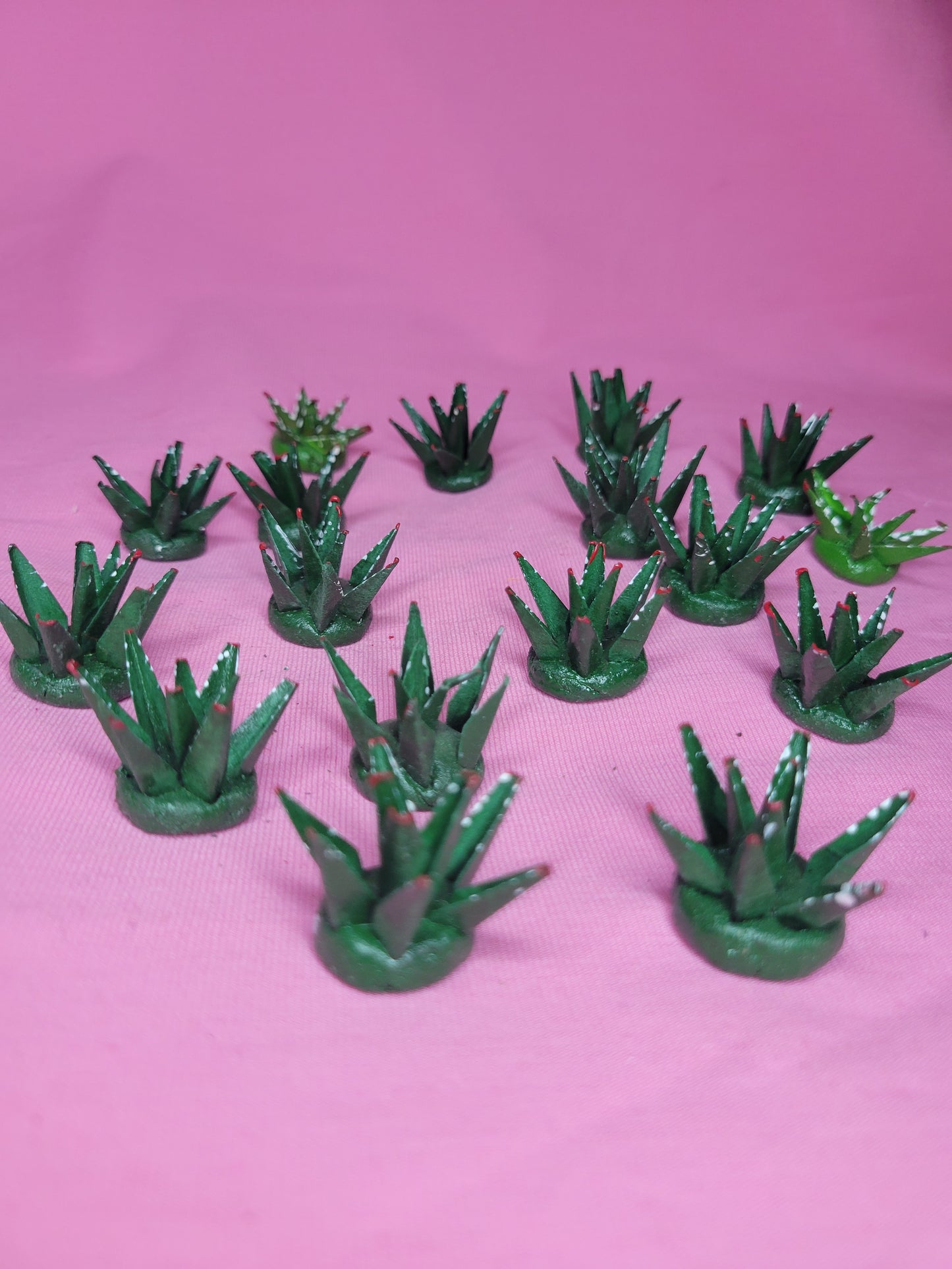 Mini maguey