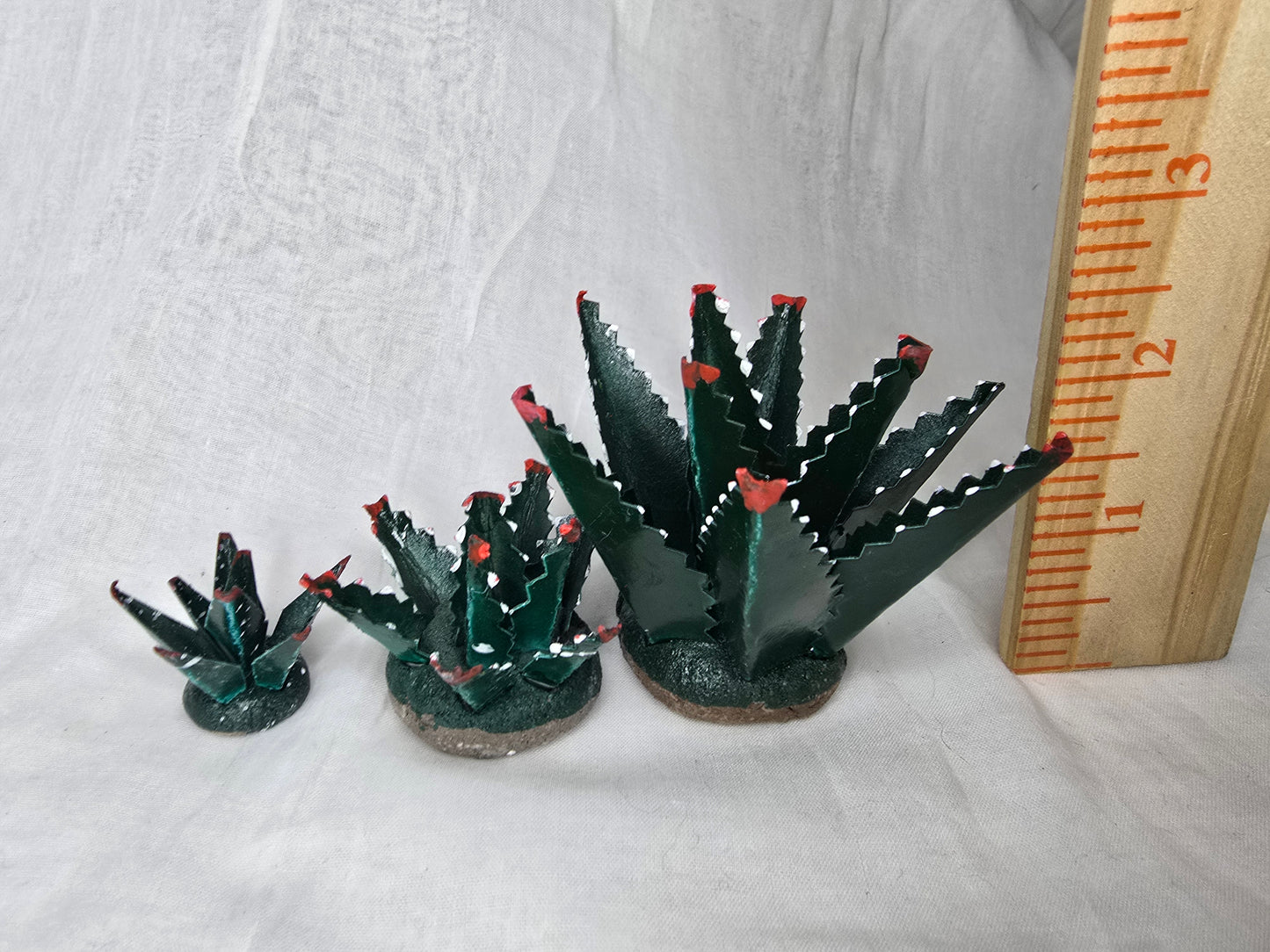 Agaves Mexicanos