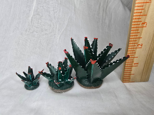 Agaves Mexicanos