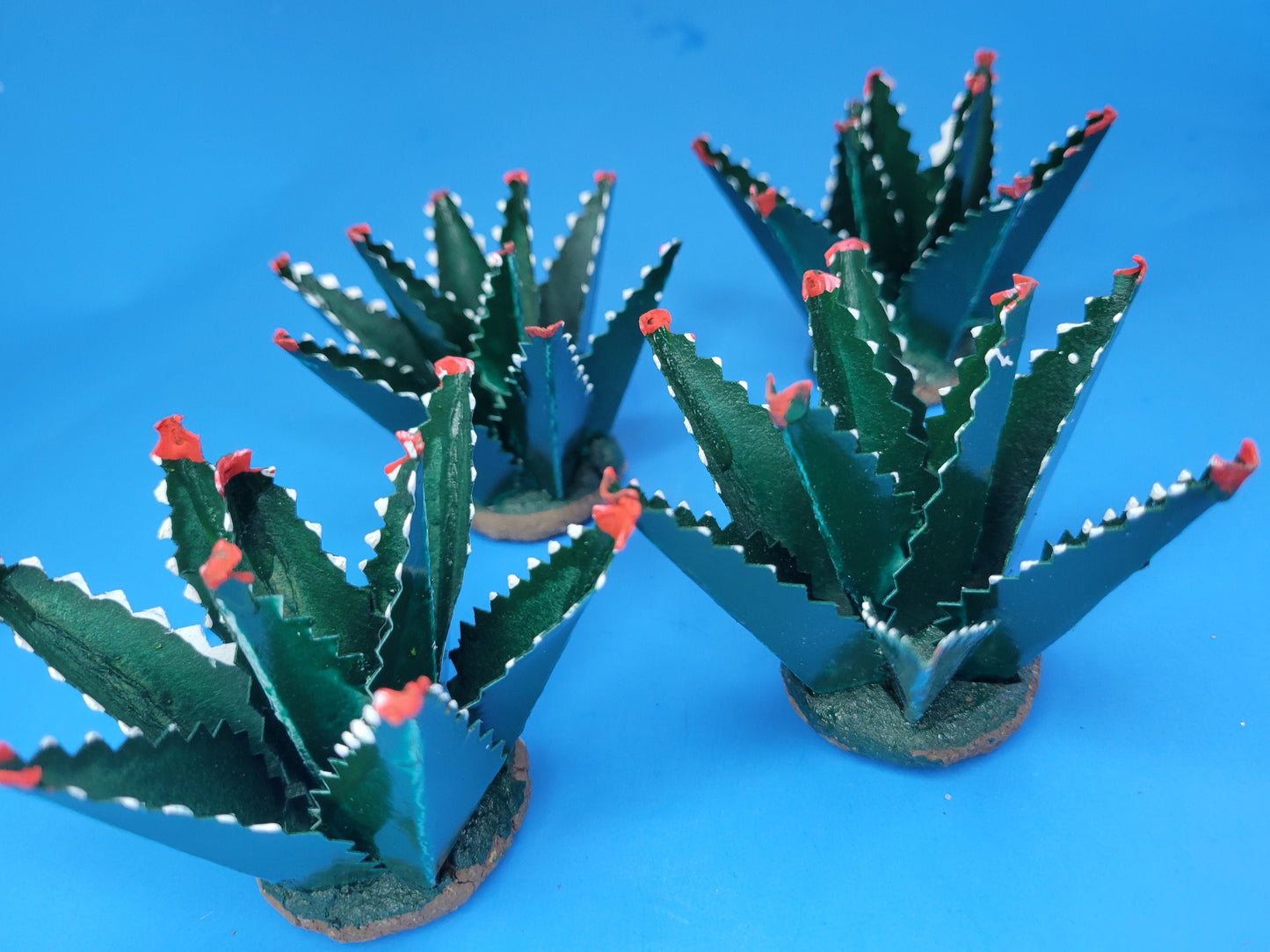 Agave mediano